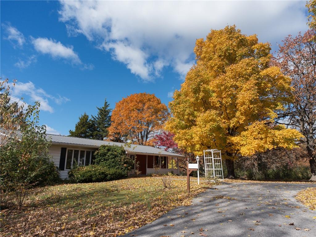 Listing Photo MLS #HMS2501821