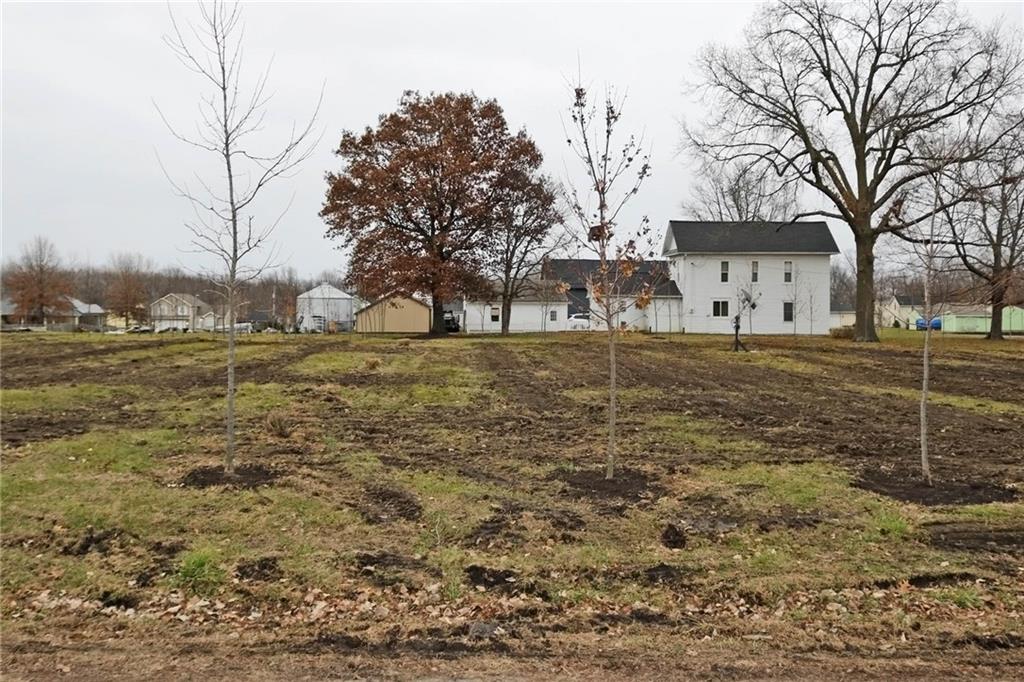 Listing Photo MLS #HMS2524802