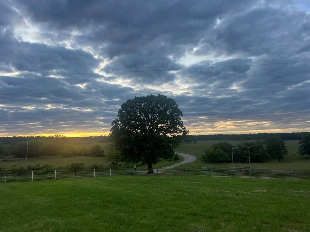 Listing Photo MLS #HMS2528607