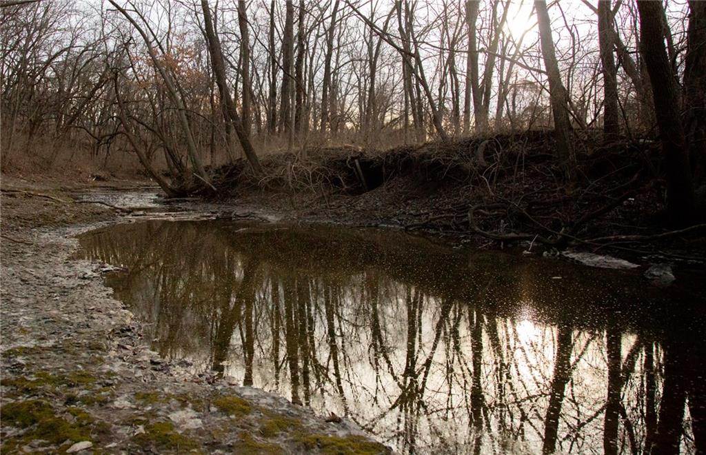 Listing Photo MLS #HMS2533187