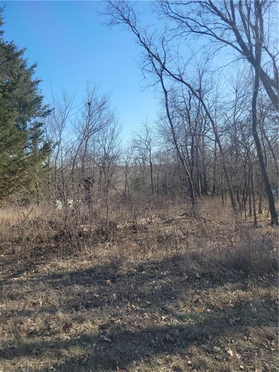 Listing Photo MLS #HMS2534902