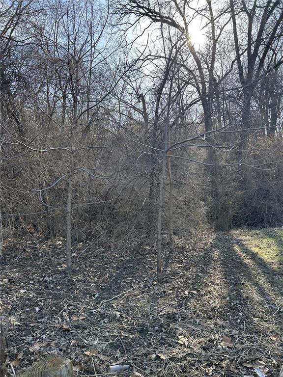 Listing Photo MLS #HMS2535308