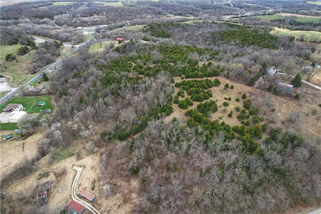 Listing Photo MLS #HMS2536946