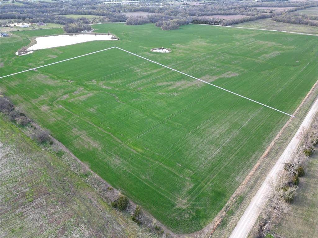 Listing Photo MLS #HMS2537068