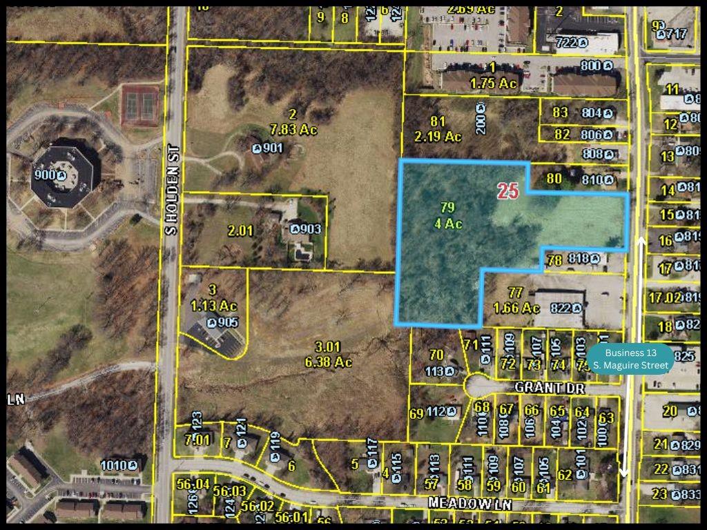 Listing Photo MLS #HMS2540022