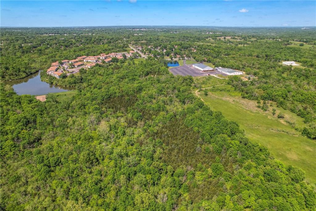 Listing Photo MLS #HMS2548973