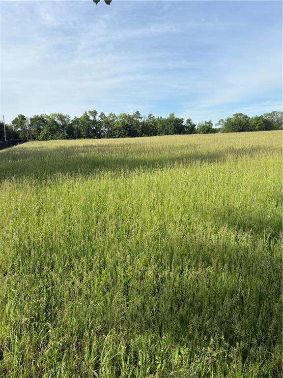 Listing Photo MLS #HMS2548994