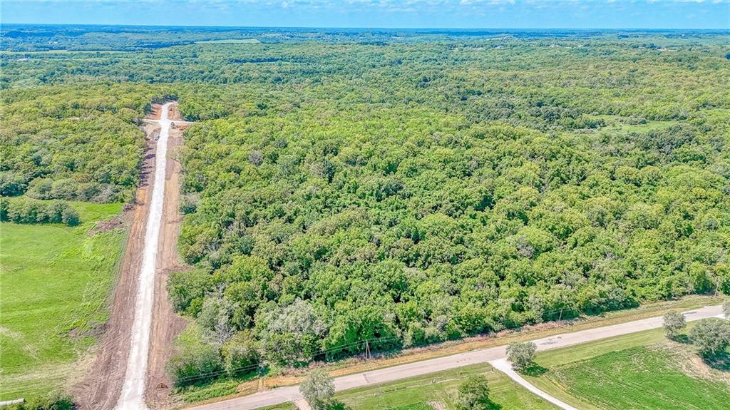 Listing Photo MLS #HMS2550431