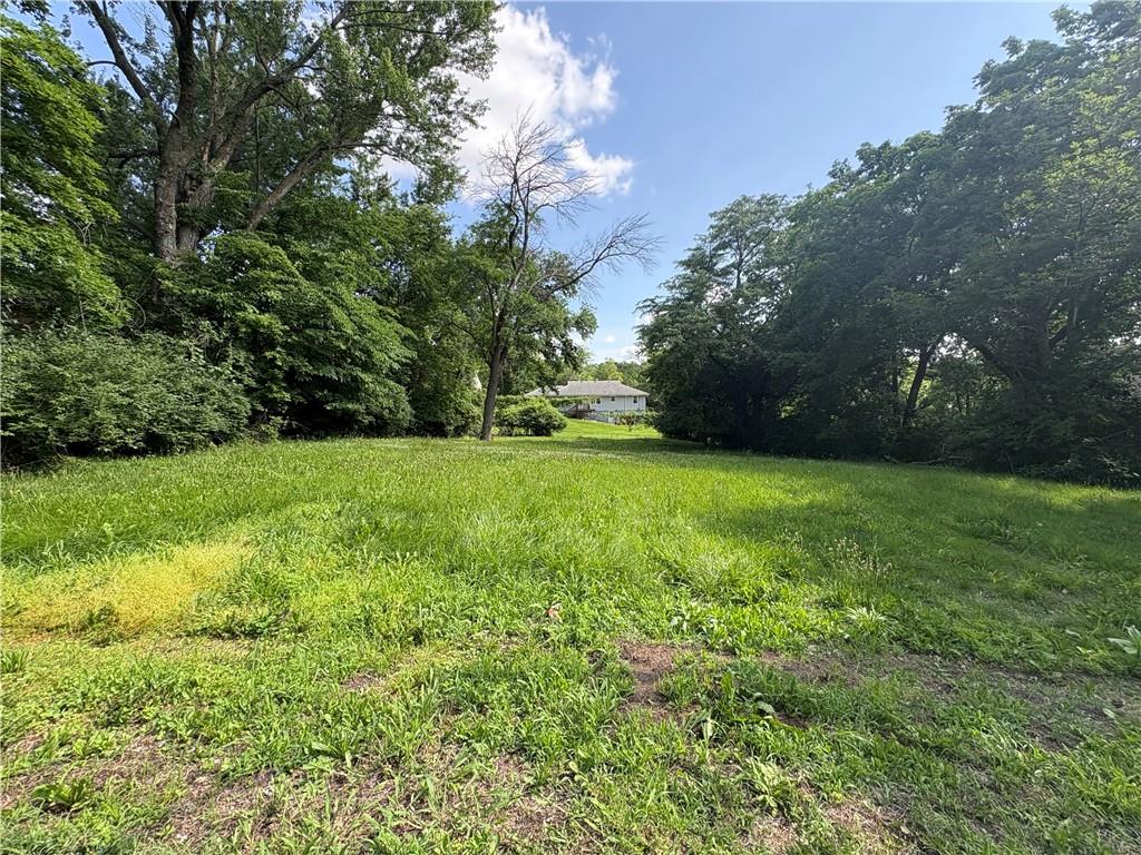 Listing Photo MLS #HMS2556789