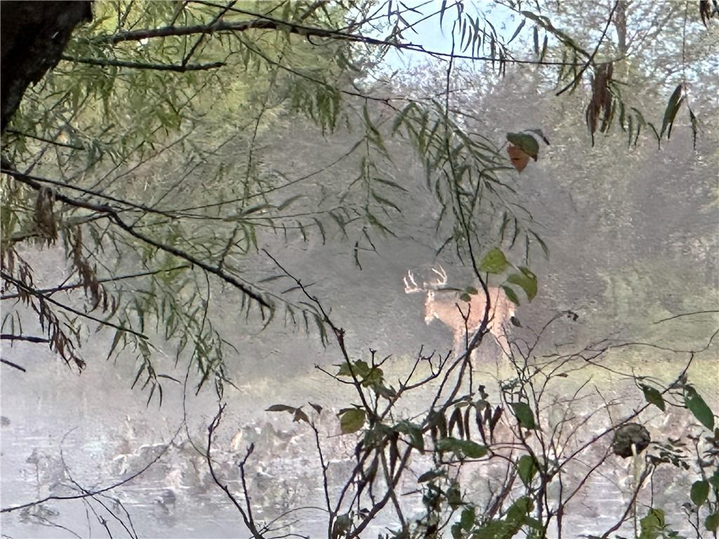 Listing Photo MLS #HMS2559016