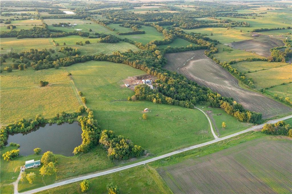 Listing Photo MLS #HMS2559731