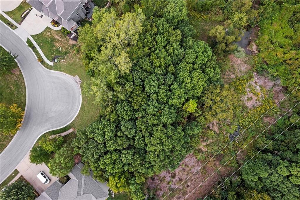 Listing Photo MLS #HMS2563715