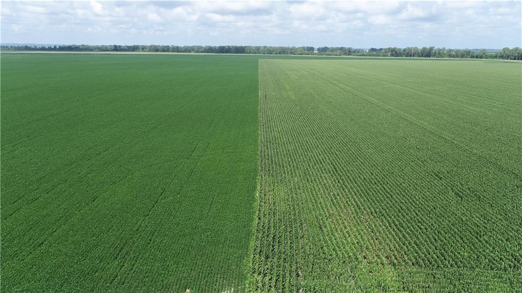 Listing Photo MLS #HMS2564104