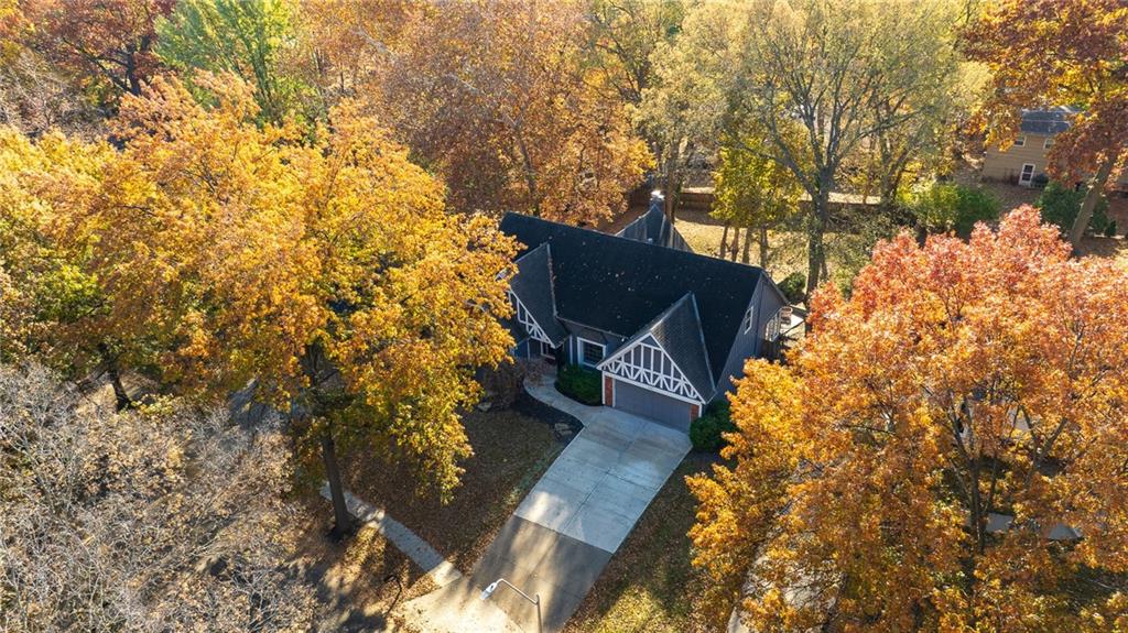 Listing Photo MLS #HMS2564238