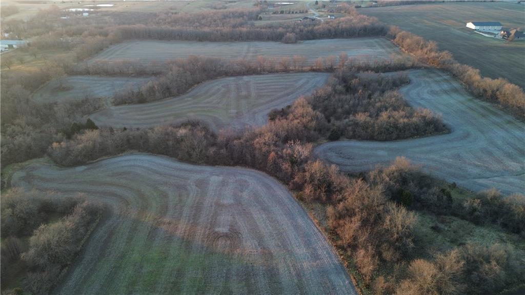 Listing Photo MLS #HMS2564754