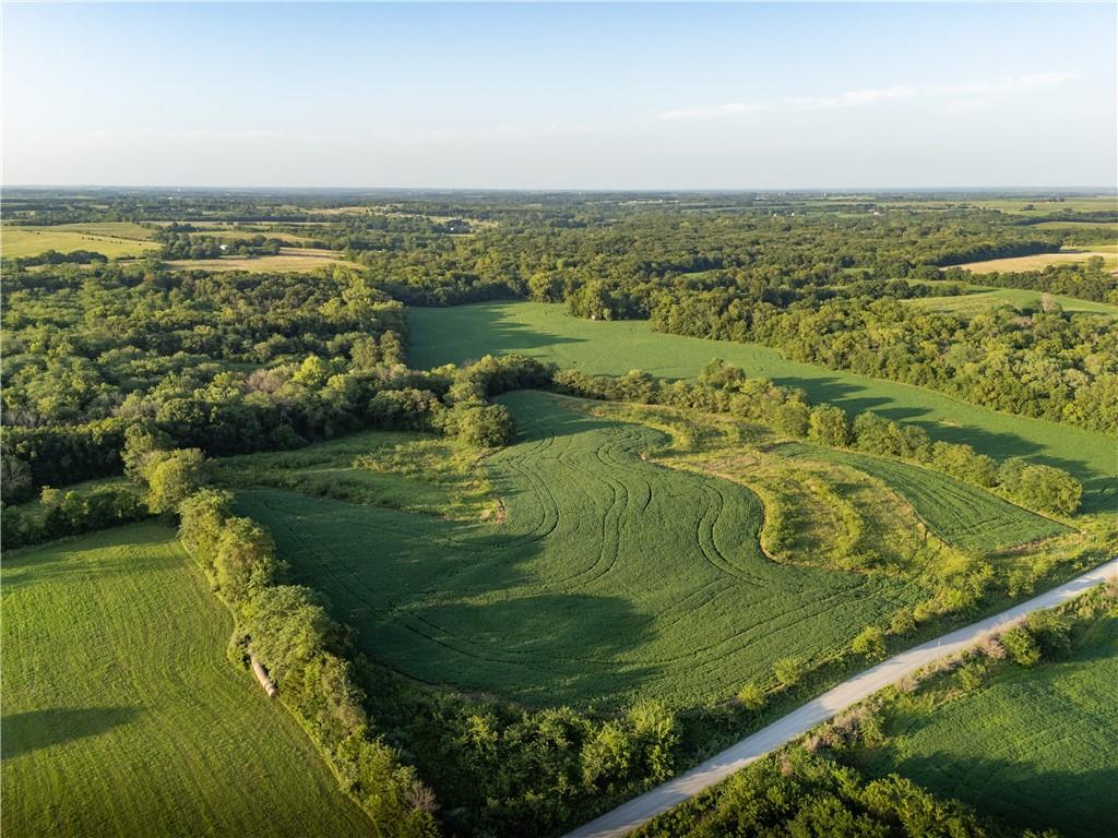 Listing Photo MLS #HMS2565454