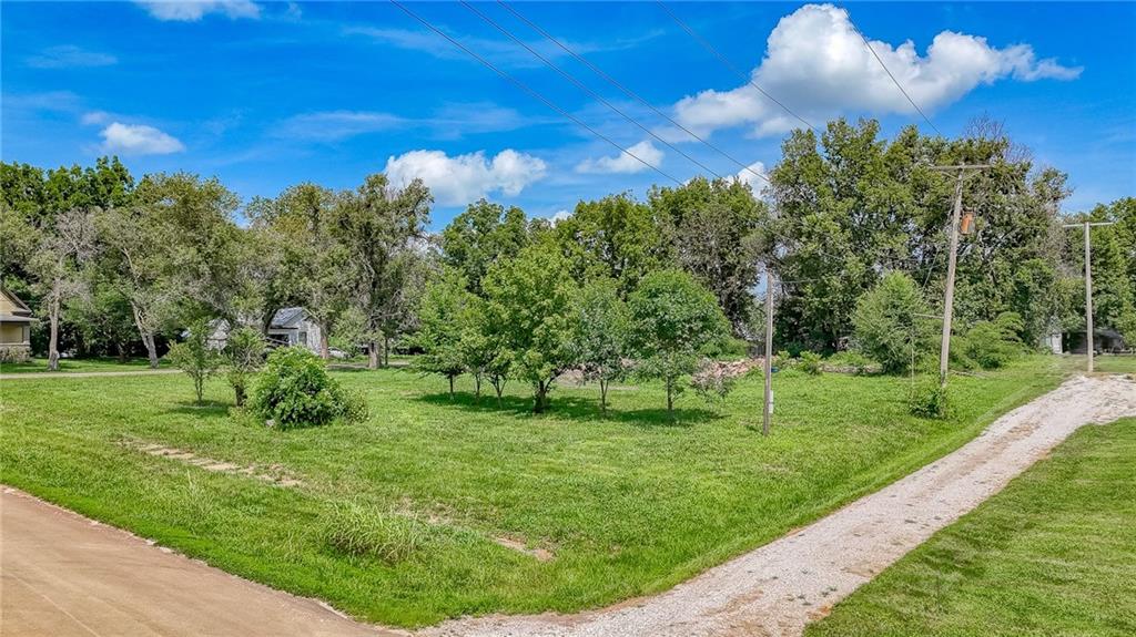 Listing Photo MLS #HMS2565756