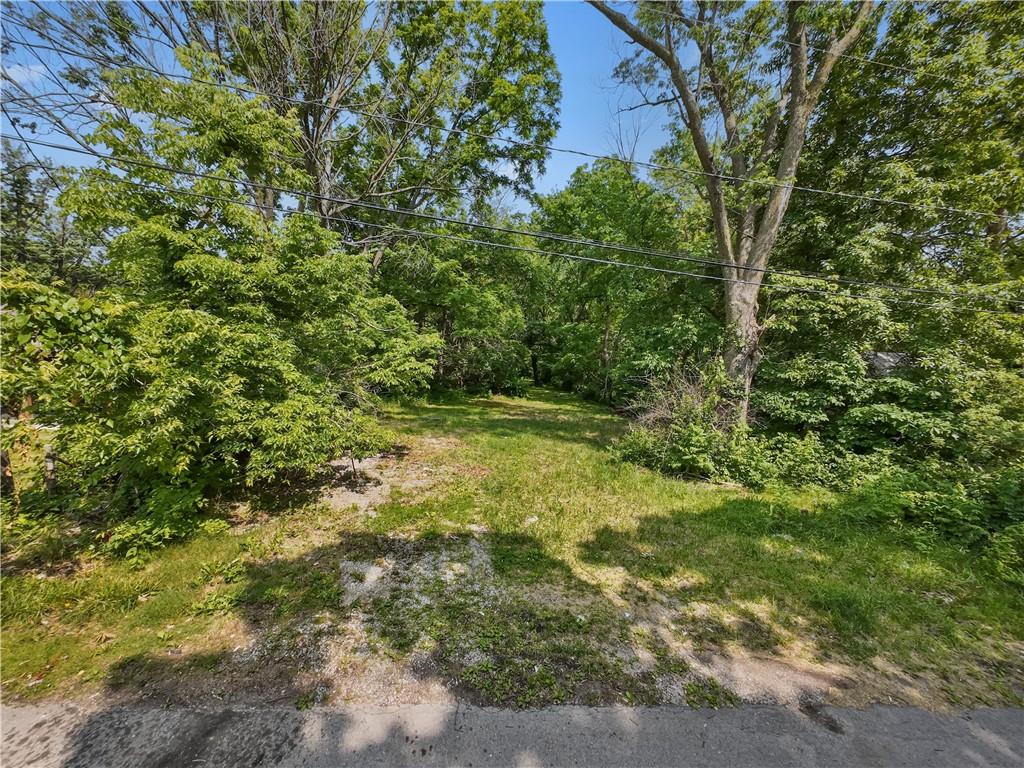 Listing Photo MLS #HMS2570460