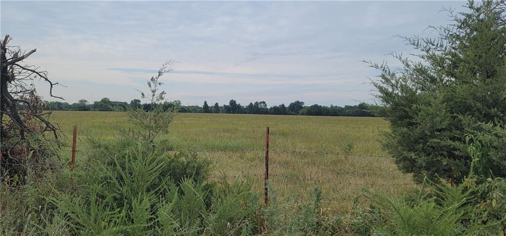 Listing Photo MLS #HMS2571614