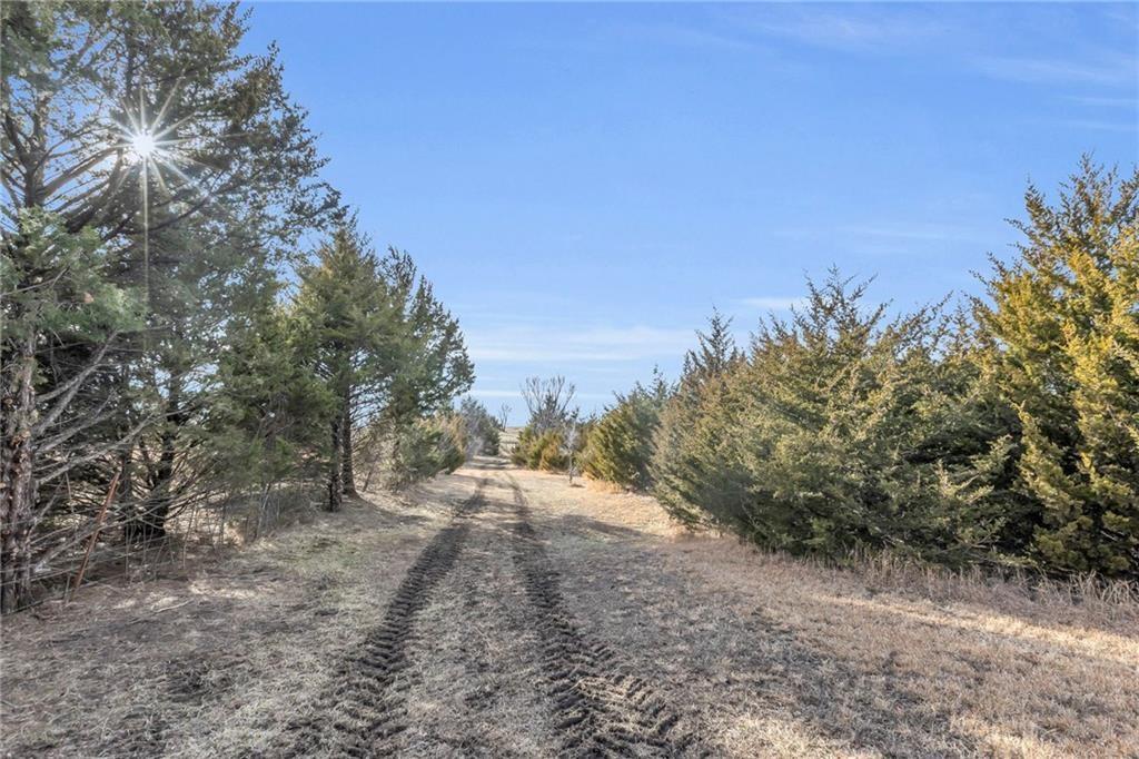 Listing Photo MLS #HMS2571970