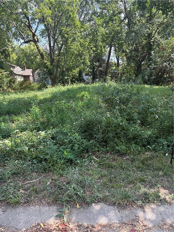 Listing Photo MLS #HMS2572451