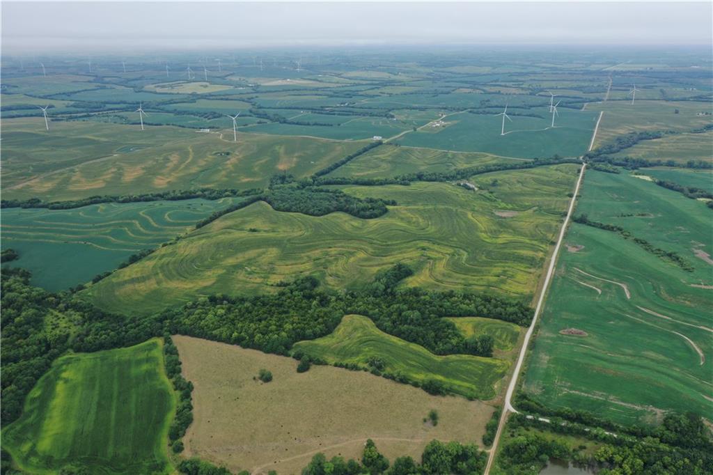 Listing Photo MLS #HMS2576575