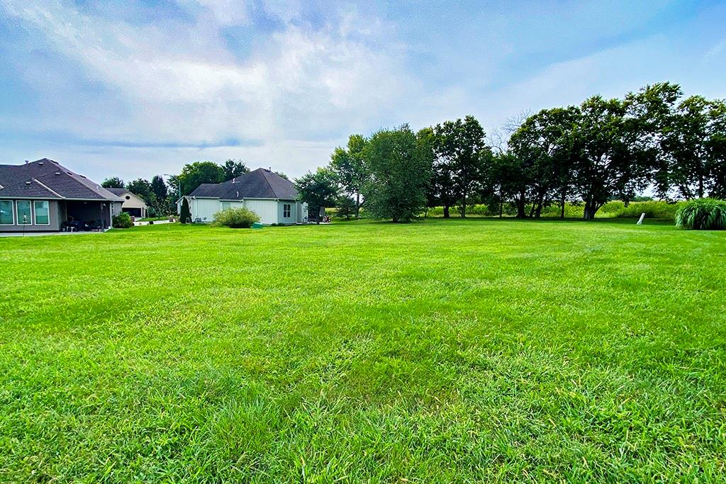 Listing Photo MLS #HMS2577057