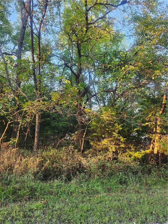 Listing Photo MLS #HMS2577333