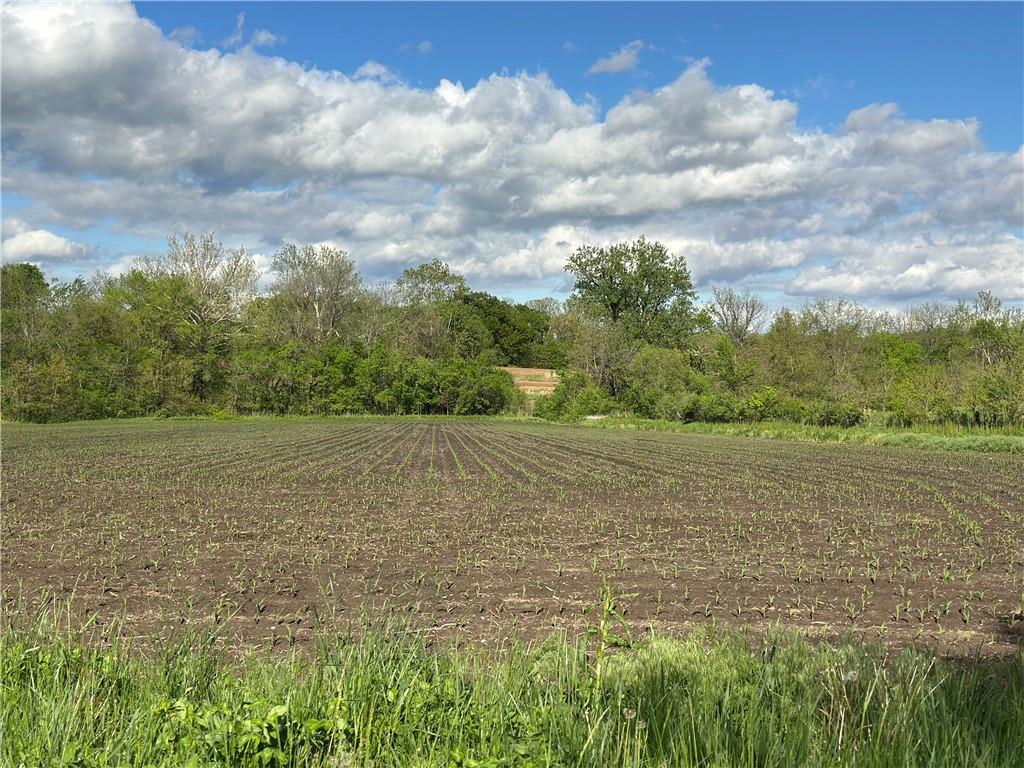 Listing Photo MLS #HMS2581279