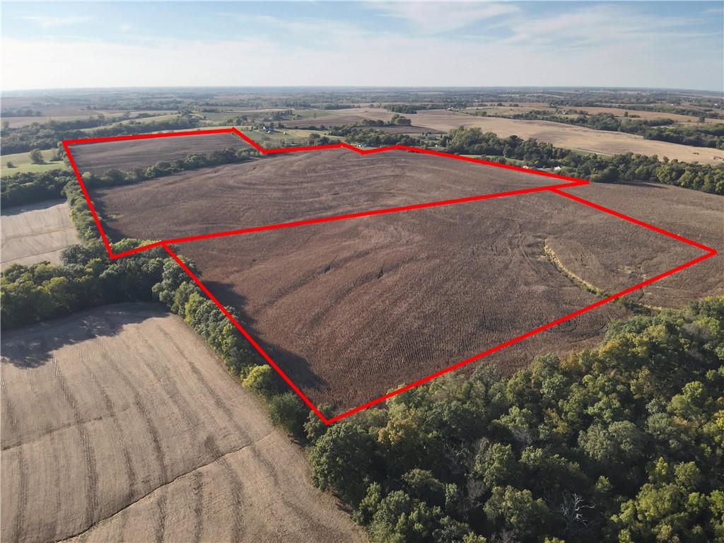 Listing Photo MLS #HMS2581716