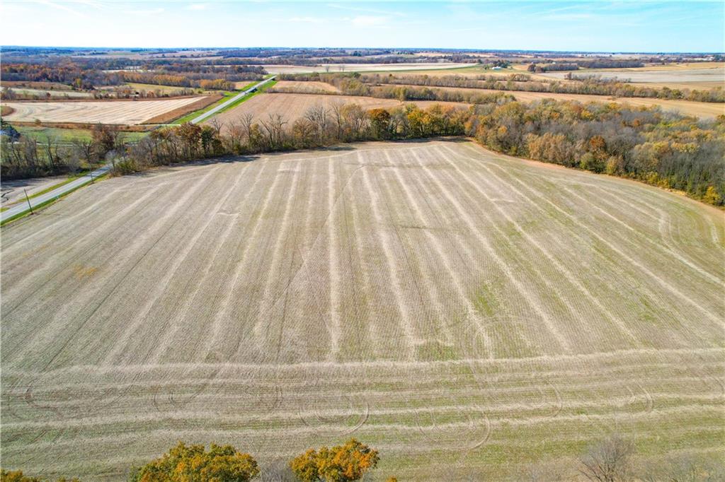 Listing Photo MLS #HMS2587486