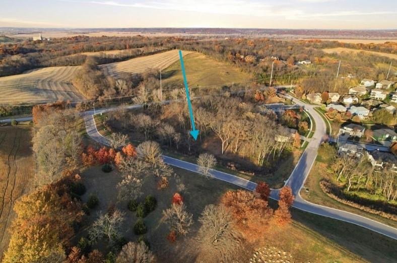 Listing Photo MLS #HMS2587801