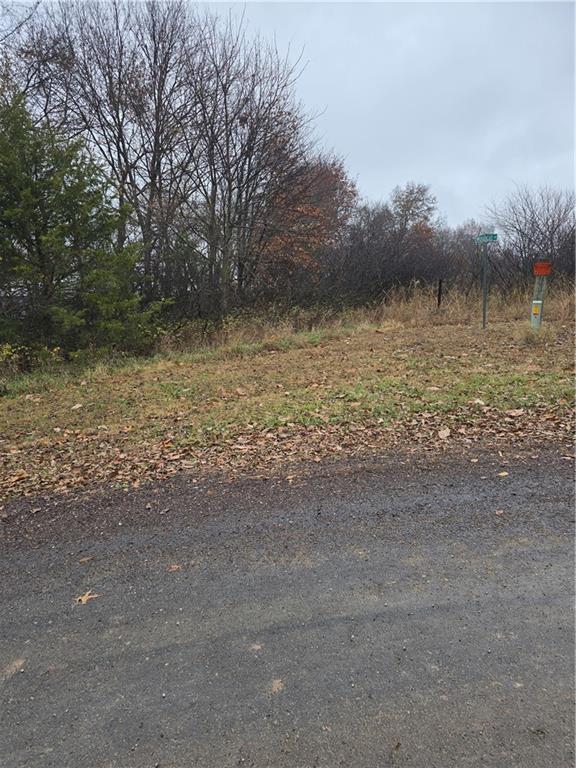 Listing Photo MLS #HMS2589177