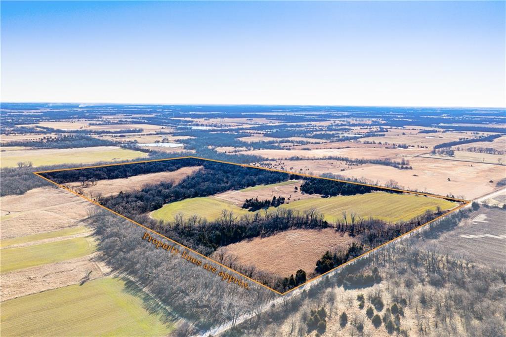 Listing Photo MLS #HMS2592694