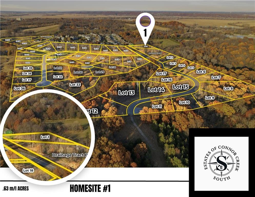 Listing Photo MLS #HMS2593287