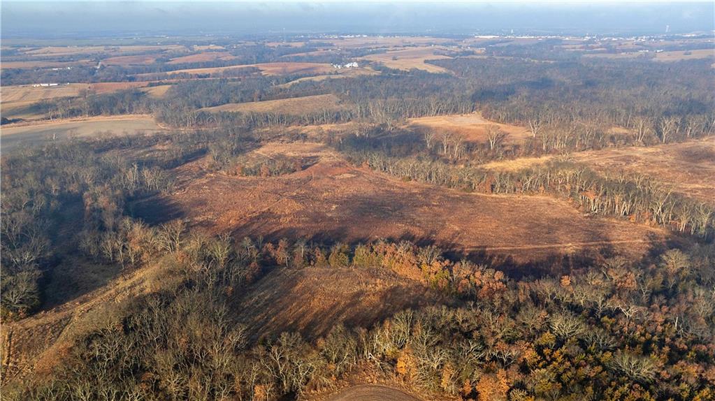 Listing Photo MLS #HMS2594610