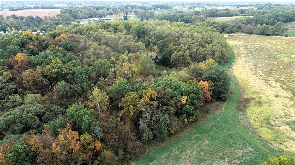 Listing Photo MLS #HMS2594669