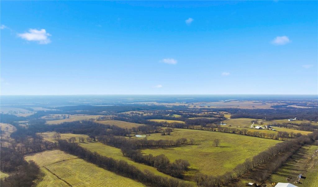 Listing Photo MLS #HMS2594976