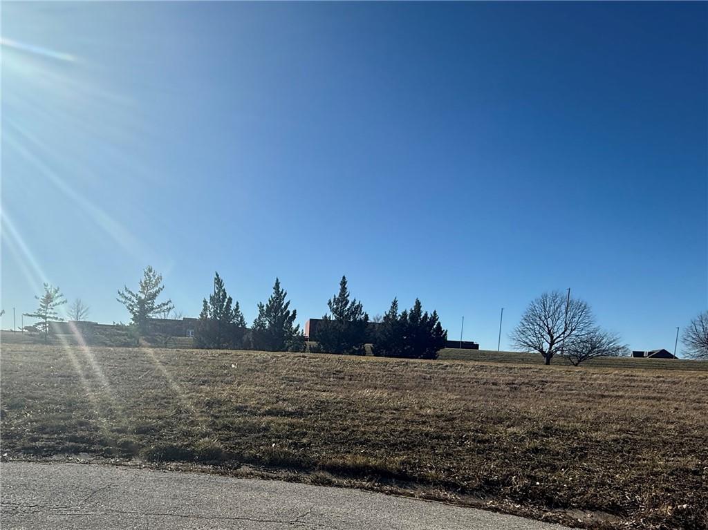 Listing Photo MLS #HMS2595751