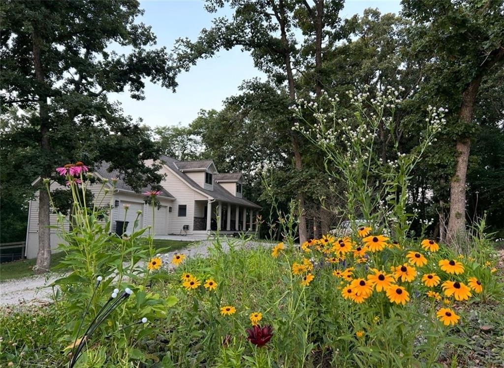 Listing Photo MLS #HMS2596513