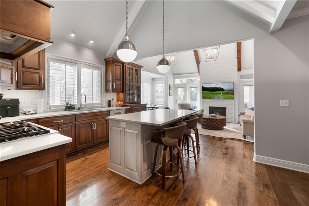 Listing Photo MLS #HMS2596809