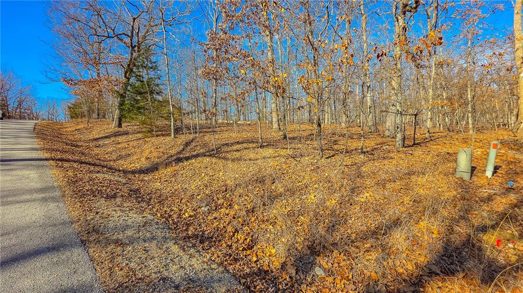 Listing Photo MLS #HMS2597144