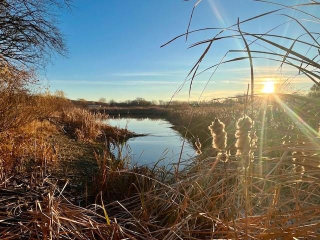 Listing Photo MLS #HMS2597569