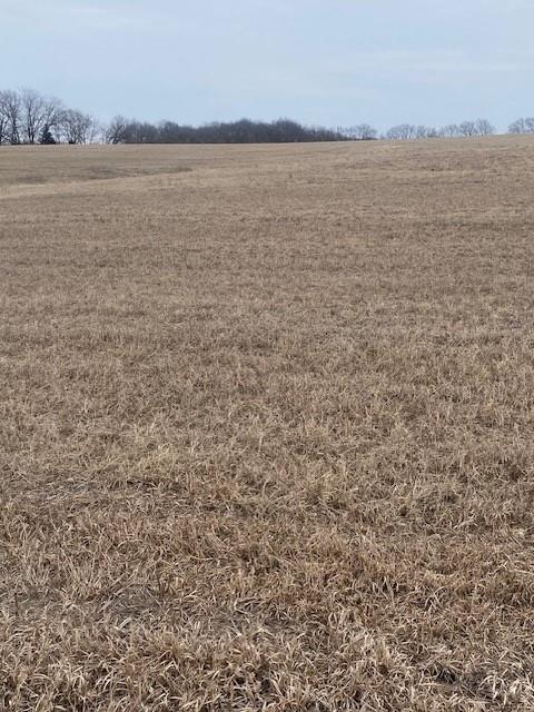 Listing Photo MLS #HMS2597918