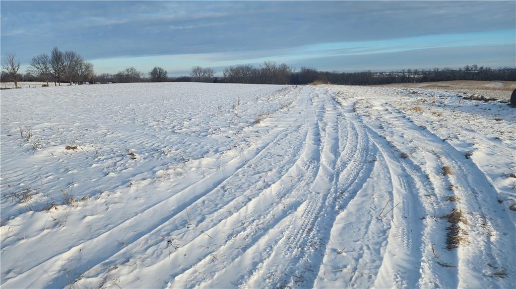 Listing Photo MLS #HMS2598420