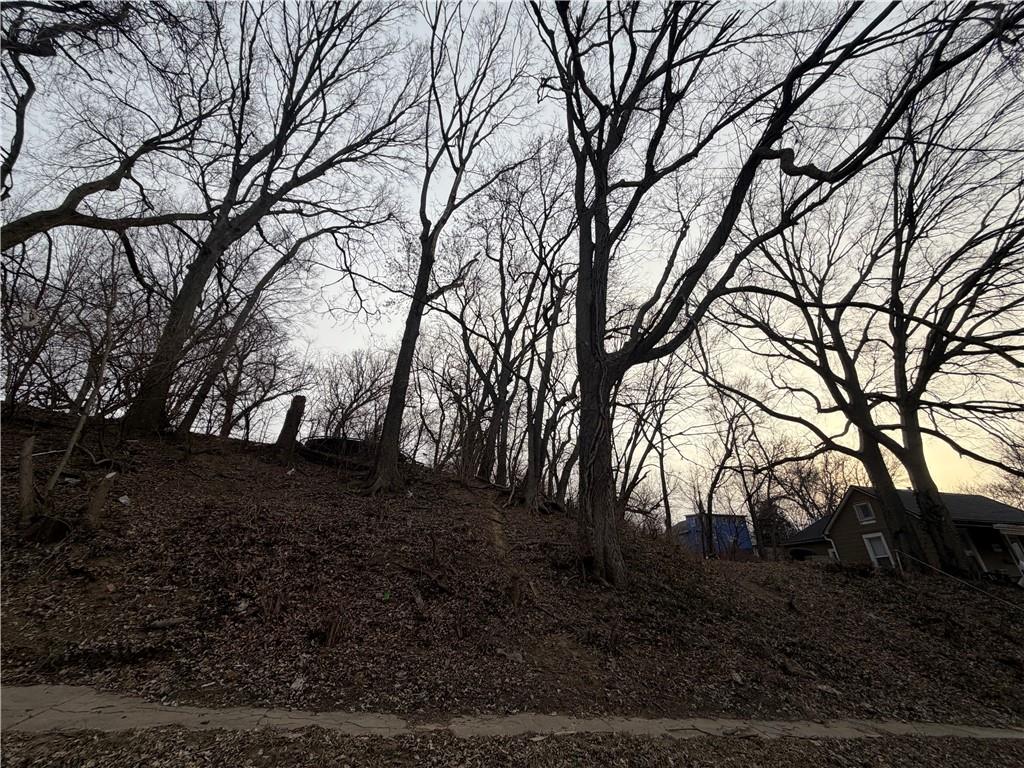 Listing Photo MLS #HMS2599212