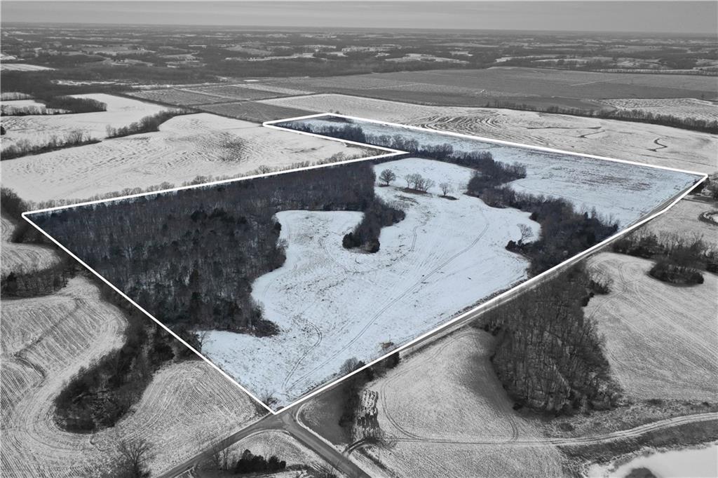 Listing Photo MLS #HMS2599376