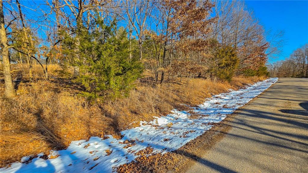 Listing Photo MLS #HMS2600636