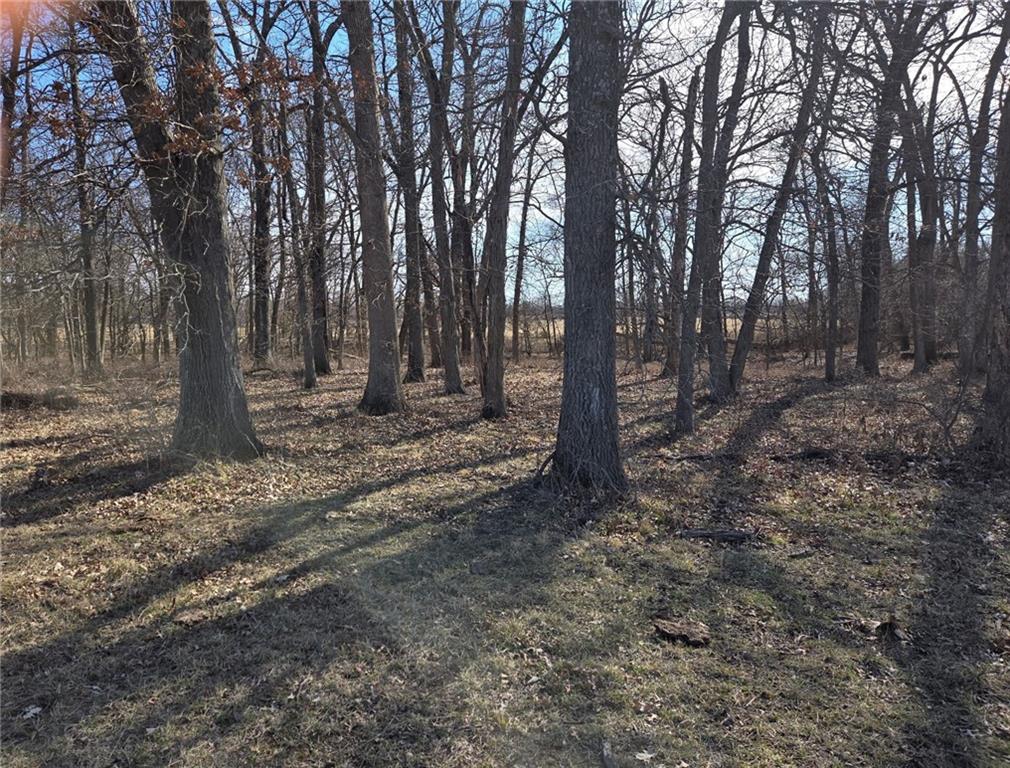 Listing Photo MLS #HMS2602819