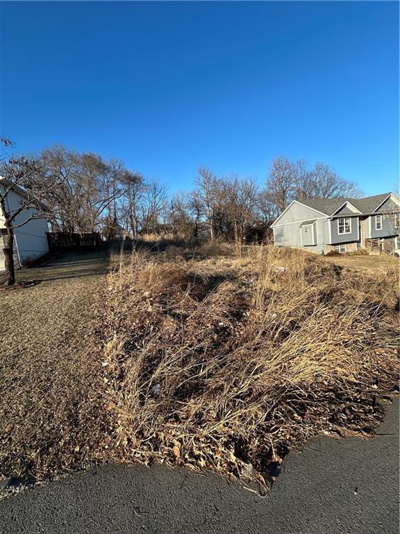 Listing Photo MLS #HMS2603206
